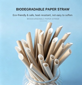 Tube en papier écologique personnalisé pour pailles jetables en papier et en plastique, emballage alimentaire de qualité supérieure en gros - Product Image 2