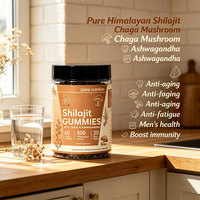 Gummies OEM Shilajit pour le soutien immunitaire avec suppléments à base de plantes, 2 gummies par portion pour adultes