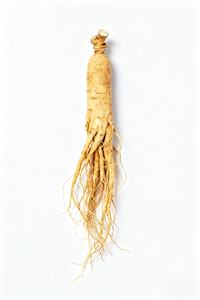 China Fábrica Extratos Herbal Preço Premium Qualidade <span class=keywords><strong>Ginseng</strong></span> 100% Natural Jilin <span class=keywords><strong>Ginseng</strong></span> - Product Image 5