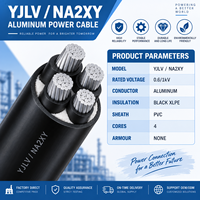 Câble d'alimentation en aluminium YJLV NA2XY, isolé XLPE, gaine en PVC, 0,6-1 kV, fil électrique basse tension pour la distribution dans les bâtiments