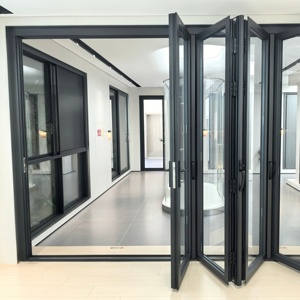 Il doppio design moderno porta scorrevole in vetro in lega di alluminio <span class=keywords><strong>ingresso</strong></span> anteriore con suono isolato <span class=keywords><strong>ingresso</strong></span> vetro finito per ville - Product Image 2