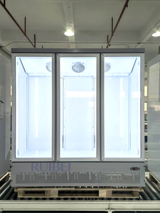Congélateur Vitrine <span class=keywords><strong>Commercial</strong></span> Vertical à Température Unique avec Ventilateur Réglable et Porte Vitrée, Capacité 401-600L - Product Image 6