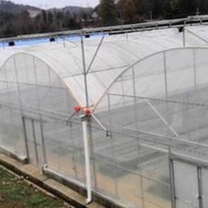 Serre agricole multi-spans de grande taille pour tomates, avec couverture en polycarbonate et structure métallique, <span class=keywords><strong>prix</strong></span> compétitif, horticulture YPWS YPLK-18 - Product Image 5
