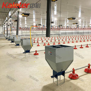 Sistema de Alimentación Automático para Pollos Zhongyu Kaleter, Línea de Comederos para Gallineros, Venta de Equipos para Granjas Avícolas de Cría Libre - Product Image 2