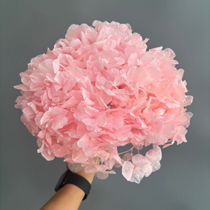 Fleurs d'<span class=keywords><strong>hortensia</strong></span> stabilisées séchées naturelles à couleurs dégradées, grandes feuilles d'<span class=keywords><strong>hortensia</strong></span> préservées pour la décoration de la maison, les événements, les mariages et les projets de bricolage - Product Image 5