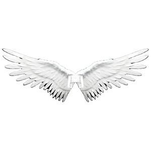 <span class=keywords><strong>Ali</strong></span> d'Angelo Grandi in Piume <span class=keywords><strong>Bianche</strong></span> Meilun Art & Craft - Product Image 1