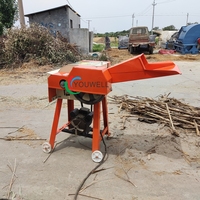 Machine à hacher le fourrage pour couper la paille humide/sèche et le fourrage - Processeur d'aliments pour animaux pour les petites et moyennes exploitations agricoles et l'usage domestique