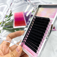 Plateau de cils en PBT coréen, soyeux, antibactérien, naturel, premium, noir mat, pour extensions de cils, courbures J B C CC D DD LJ LB LC LD