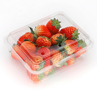 Groothandel rechthoekige transparante plastic PET-container met scharnierend deksel voor fruitverpakkingen