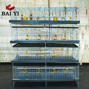 H Loại 45 Ngày Bé Gà Lồng/<span class=keywords><strong>Brooder</strong></span>/Ngày Cũ Lớp Gà Lồng Để Bán - Product Image 2
