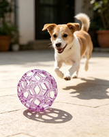 Jouets à mâcher pour chiens - Matériau TPR, choix populaire pour l'entraînement et l'exercice quotidiens
