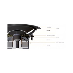 Subwoofer <span class=keywords><strong>de</strong></span> <span class=keywords><strong>voiture</strong></span> actif à bords magnétiques <span class=keywords><strong>de</strong></span> 12 pouces, professionnel, grand SPL, boîte <span class=keywords><strong>de</strong></span> subwoofer <span class=keywords><strong>vide</strong></span> avec sièges <span class=keywords><strong>de</strong></span> <span class=keywords><strong>voiture</strong></span> actifs - Product Image 4