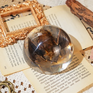 Venta Caliente de Artesanías de Resina, Decoración de Taxidermia de Murciélago, Especímenes de Animales Reales en Resina, Adornos para el Hogar, Regalos Únicos para Entusiastas de la Biología - Product Image 2