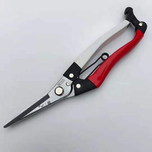 Cisailles d'élagage Hisaichiro S503, lame en acier de 70 mm, tête droite, poignée antidérapante pour arbustes, arbres fruitiers, vignes - Product Image 5