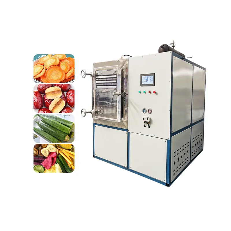 Joyshine Pet Food Manufacture Freeze Drier Machine Cocoa Drying Machine Freeze Dryer Amazon
