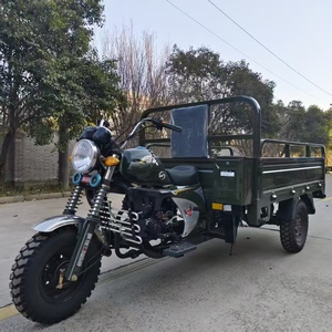 <span class=keywords><strong>Triciclo</strong></span> de Carga de Tres Ruedas con Motor de Gasolina de 250cc, Gran Capacidad y Durabilidad - Product Image 2
