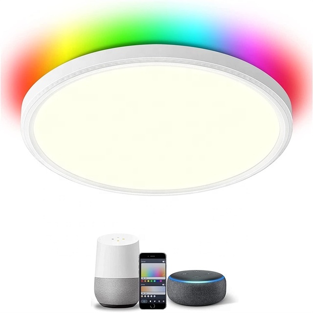 Alexa Google Home 12Inch 24W Smart Led Ceiling Light Ultra Thin Color Changing RGB Ceiling Light 2000k-6000K Flush Mount Panel
