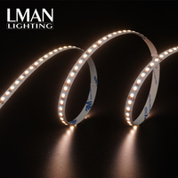 Bande lumineuse LED flexible de haute qualité Epistar 120LEDs/M DC24V 10mm SMD4040 avec télécommande CRI>93 IP65 Dimmable Garantie 3 ans