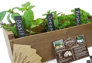 Étiquettes en pierre naturelle noire <span class=keywords><strong>10</strong></span> marqueurs <span class=keywords><strong>d</strong></span>'étiquettes de plantes et de fleurs en <span class=keywords><strong>ardoise</strong></span> avec crayon à craie pour <span class=keywords><strong>d</strong></span>écoration de jardin - Product Image 6