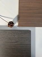 Panneau MDF en mélamine légère de qualité E0 résistant aux chocs 16mm 4 * 9ft pour étagères Panneau MDF en mélamine étanche à l'humidité