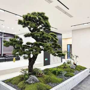 Árbol Artificial de Podocarpus con Tronco de Madera Natural, Estilo Bonsái, Pino Budista en Maceta Grande <span class=keywords><strong>para</strong></span> Decoración de Interiores, Villas y Vestíbulos - Product Image 2