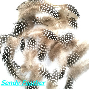Offerta Speciale: Piume di Pappagallo d'India Grezze 6-12cm per Decorazioni, Artigianato, Forniture per Feste, Ingrosso e Cappelli da Maschera - Product Image 4