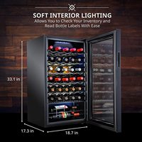 Ce système de conservation du vin température électronique refroidisseur de vin sac porte réfrigérateur à vin fabriqué en verre de haute qualité 2020 Offre Spéciale Chine
