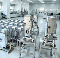 Presse à nouilles électrique automatique commerciale à deux têtes, multifonctionnelle, grande machine de fabrication en acier inoxydable 2500W