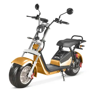 EEC COC证书电动斩波器踏板车大座2人1500瓦长距离锂电池60v摩托车电动