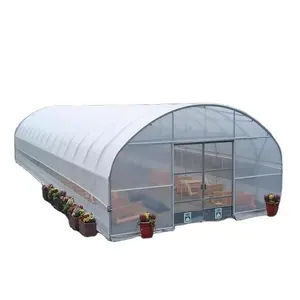 kommerzielle gewächshaus-kits einzelspannzeit gemüseanbau landwirtschaftsrahmen kunststofffolie tunnel erdbeere gewächshaus zum verkauf