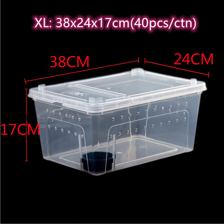 Transparent/Noir-XL