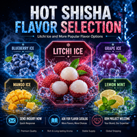 Concentré de saveur Litchi Ice pour chicha, haute concentration, soluble dans l'huile, pour tabac à chicha, fourniture OEM
