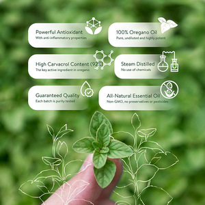 Aceite de Orégano Silvestre OEM en Gotas Líquidas, Alto Contenido de Carvacrol (92%), Destilado al Vapor, GMP, para Apoyo Inmunológico y <span class=keywords><strong>Salud</strong></span> Intestinal - Product Image 2