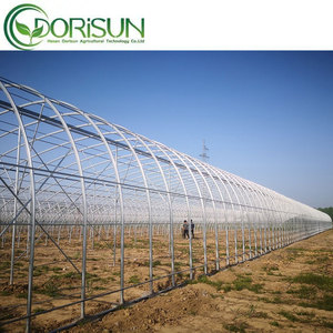 Galvanized Steel Frame Single Span Pe Film <strong>Greenhouse</strong> For Agriculture Low Cost Tunnel <strong>Greenhouse</strong> For Flowers Plant