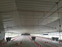 Structure en acier Poulailler Maison de poulets de chair Hangar de ferme Bâtiment de volaille Entrepôt préfabriqué Bâtiments