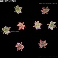 50Pcs Sac Imprimé Feuille D'érable Conception Nail Décoration Rouge et Jaune Lumineux Lueur Résine Salon En Vrac DIY Nail Art Charmes