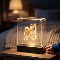 Caja de Exhibición Holográfica 3D de Acrílico para Mascotas con Proyección WiFi, No Requiere Teléfono, Carga de Video Personalizada para Mascotas