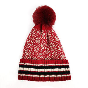 Chapeau en tricot chaud et épais avec pompon, nouvelle conception 2025, protection des oreilles, respirant, confortable, style populaire - Product Image 4