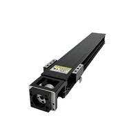 Sistema de movimiento lineal de carrera larga de la serie KK XYZ con bloques deslizantes, construcción de acero y control PLC