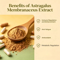 Ekstrak Akar Astragalus Murni Alami 70% Polisakarida, Ekstrak Astragalus Membranaceus untuk Suplemen (Grosir)