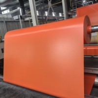 Tissu enduit de PVC antibactérien et antidérapant pour tapis de gymnastique professionnels et matériau de rembourrage pour atterrissages sportifs