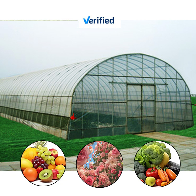 Arch Agricultural Commercial Greenhouse Hydroponics Agriculture