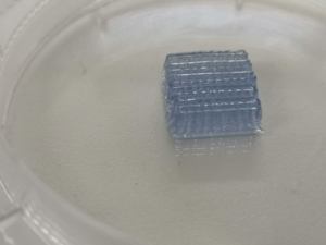 Technologies <span class=keywords><strong>de</strong></span> bioprinting 3D propriétaires, modèles <span class=keywords><strong>de</strong></span> dépistage <span class=keywords><strong>de</strong></span> médicaments in vitro, <span class=keywords><strong>prix</strong></span> <span class=keywords><strong>de</strong></span> l'imprimante bioprinting 3D - Product Image 3