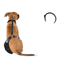 Quantité minimale de commande bas de jambe arrière réglable pour chien vente à chaud vente en gros de genouillère/attelle de soutien en métal pour chien