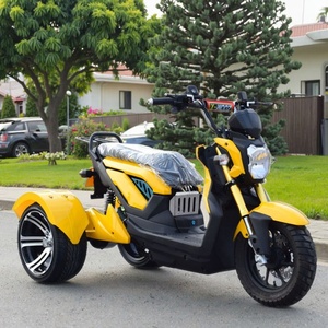 Triciclo Elettrico Aperto 1000W, Batteria al Piombo-Acido 60V, Logo e Colore Personalizzabili, Tre Ruote, 30-50km/h, Autonomia 30-50km - Product Image 3