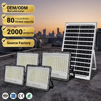 Projecteur solaire LED extérieur pour jardin, étanche IP65, en aluminium, 100W, 200W, 300W, 400W, longue durée de fonctionnement