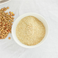 Excellente source de vitamine B12, végétalien, sans gluten, sans sucre, excellent stimulant énergétique, poudre de protéines de lentilles
