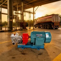   Pompe à huile hydraulique 55 LPM 1,5 KW en acier inoxydable 304 résistant à la corrosion avec moteur électrique pour transfert d'huile