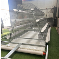 Système d'élevage de poulets commercial de type A avec cage à poules pondeuses, alimentation automatique en eau et nettoyage du fumier, conception durable, galvanisé à chaud