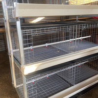 Cages à Poulets de Chair en Batterie pour Élevage Avicole, Système d'Élevage en H de 3/4 Niveaux pour 60/80 Oiseaux
